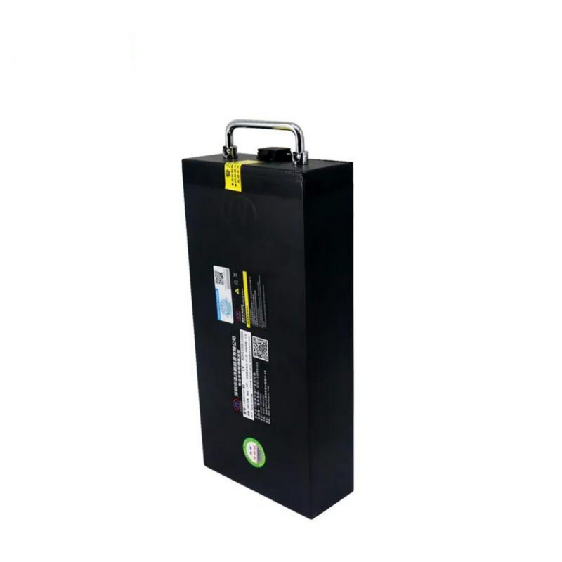 Scoot Motion 60V 30ah lithium battery with handle + steel case for citycoco and chopper