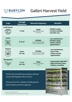 Babylon Galleri Micro-Farm