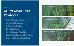 Babylon STEM Garden Micro-Farm