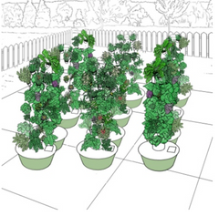 Tower Garden Community Tower Garden GT750