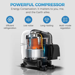 Heavy Duty Commercial Single Glass Door Refrigerator With LED Lights, 23" (SAK43533)