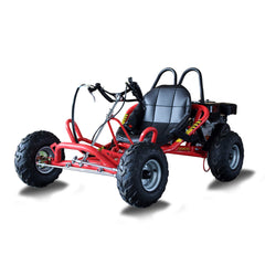 Heming HM-GK200A 4-Stroke Single-Cylinder 2WD Gas Powered Go Kart (SAK21403)
