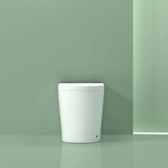 Modern Compact Smart Tankless Toilet With Bidet, Auto Open, Auto Flush, Heated Seat And Air Dryer (SAK51990)