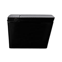 Premium Multifunctional Single-Piece Automatic Smart Toilet With Remote Control, Matte Black (96471352)