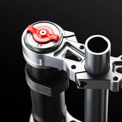 Pinned Electric RFloXa Hawk31 Pro