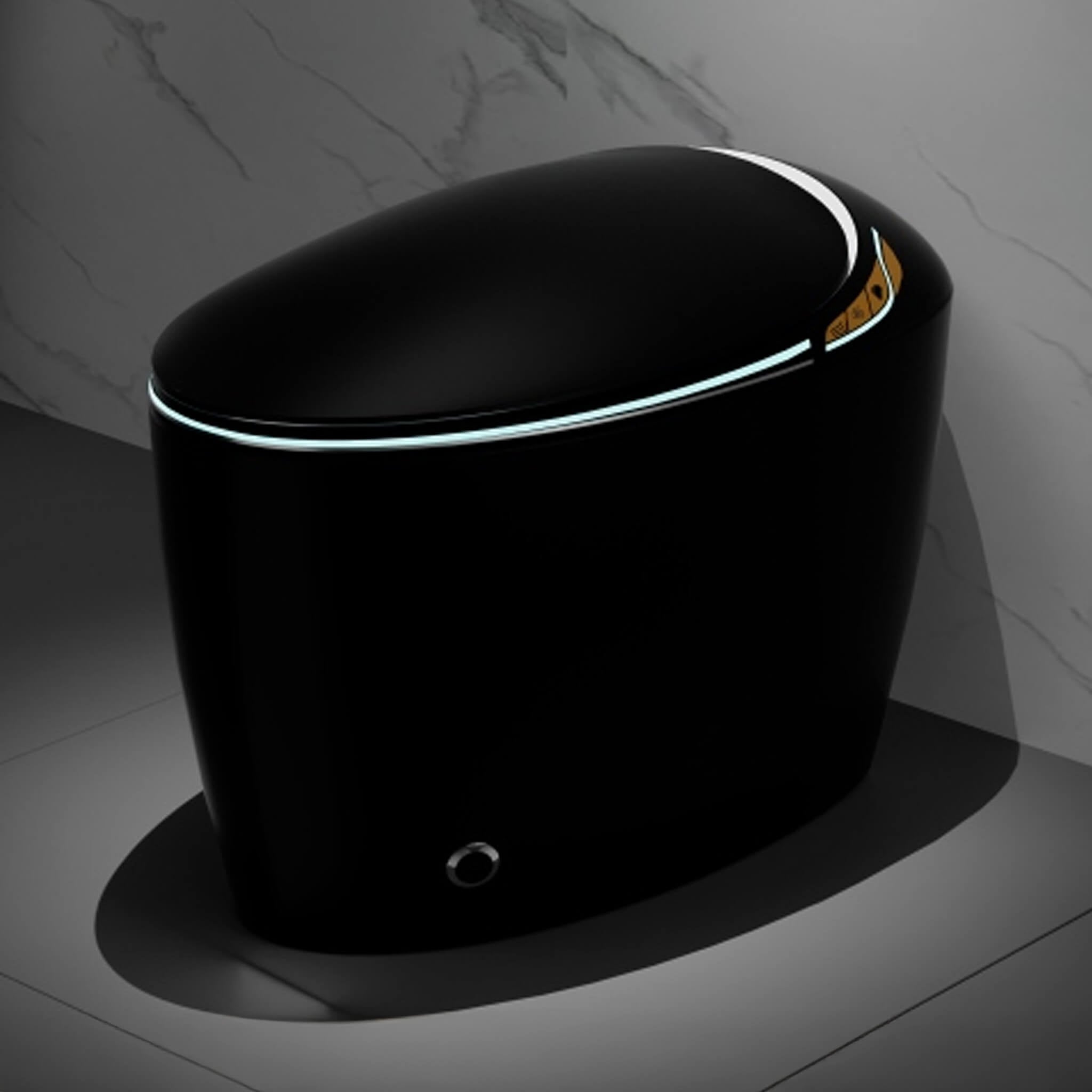 Smart One-Piece Toilet With Bidet, Foot Sensor, LED Display And Dryer (SAK80112)