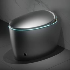 Smart One-Piece Toilet With Bidet, Foot Sensor, LED Display And Dryer (SAK80112)