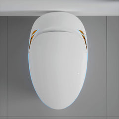 Smart One-Piece Toilet With Bidet, Foot Sensor, LED Display And Dryer (SAK80112)