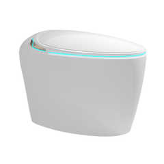 Smart One-Piece Toilet With Bidet, Foot Sensor, LED Display And Dryer (SAK80112)