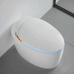 Smart One-Piece Toilet With Bidet, Foot Sensor, LED Display And Dryer (SAK80112)
