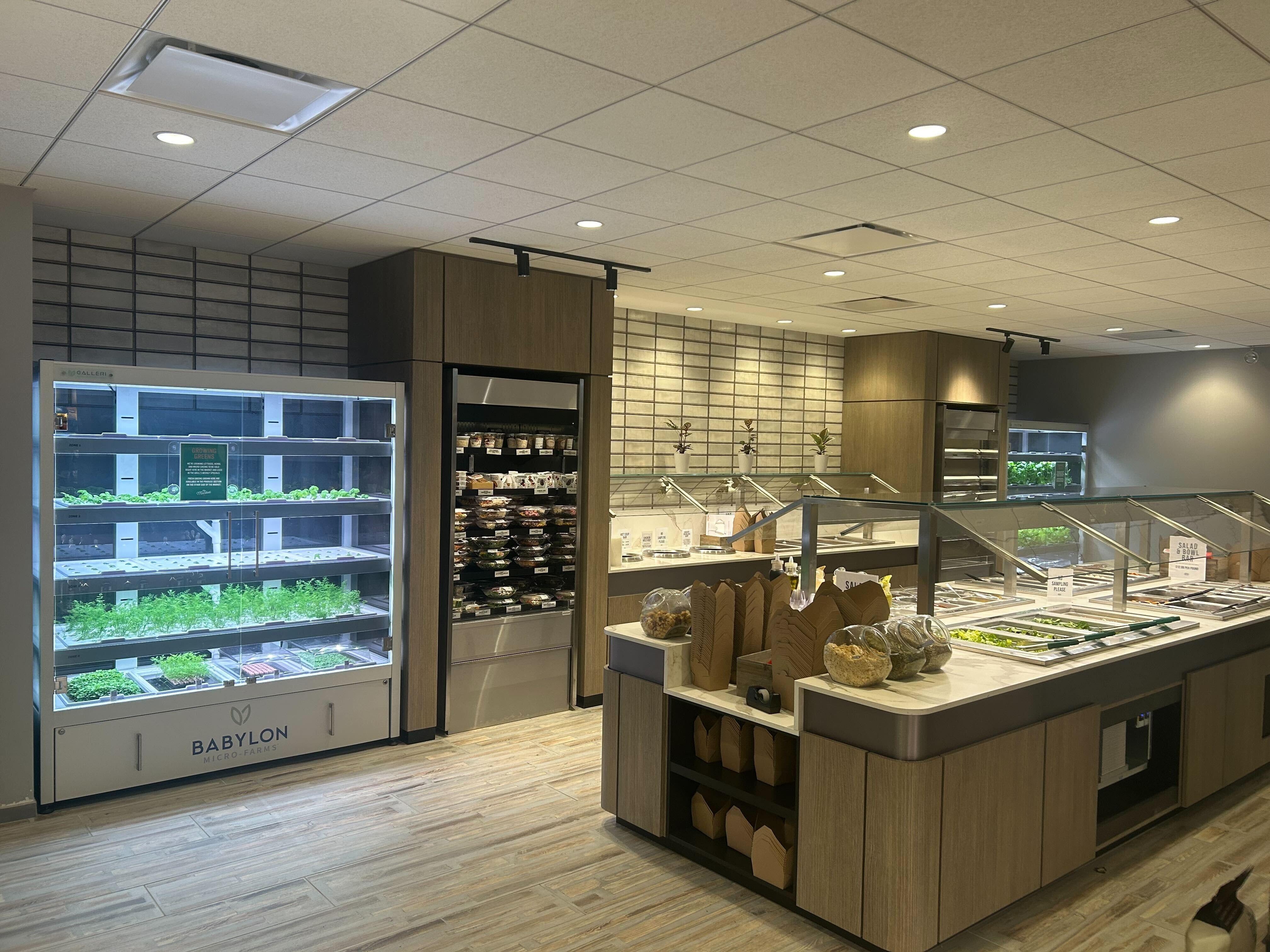 Babylon STEM Garden Micro-Farm