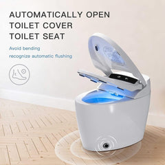 Premium Automatic Single-Piece Home Smart Toilet With Bidet, Foot Sensor And Heated Seat (SAK96152)
