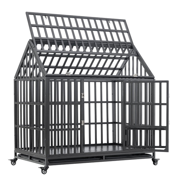 Dog Kennel