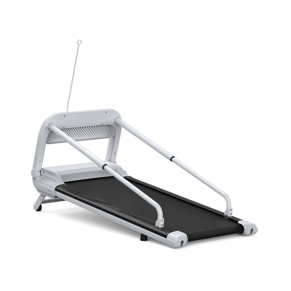 Dog Treadmills