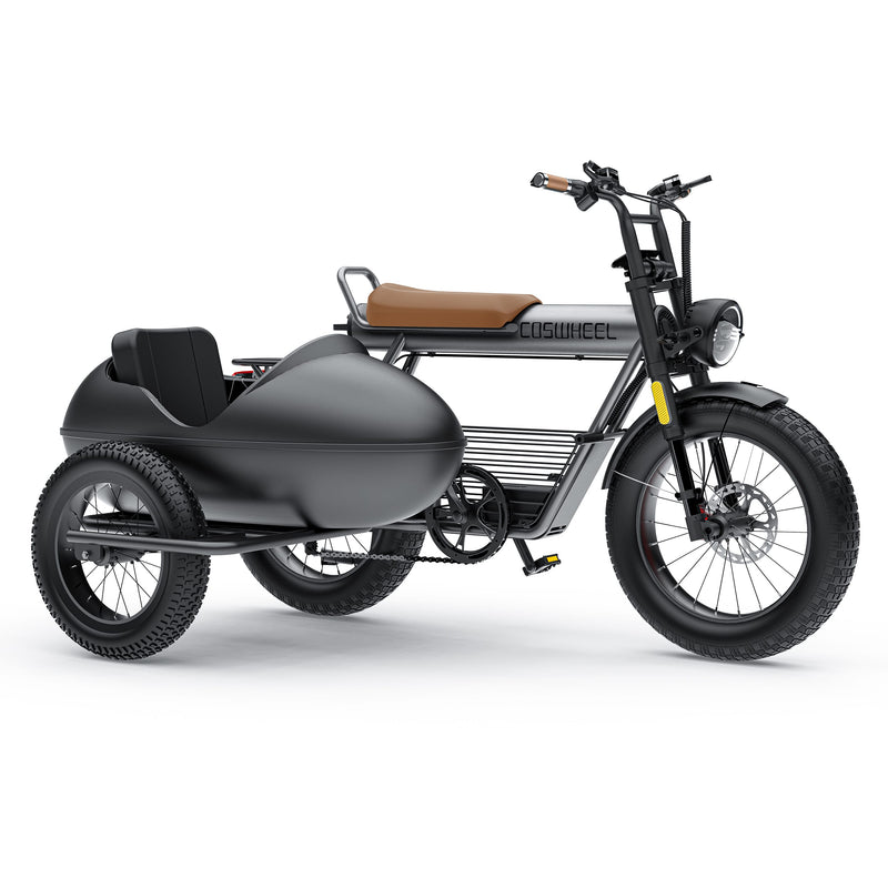 COSWHEEL Sidecar for CT20/CT20S EBike