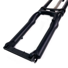COSWHEEL Front Fork For COSWHEEL EBike