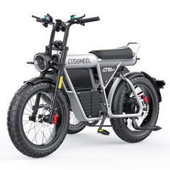 COSWHEEL Sidecar for CT20/CT20S EBike