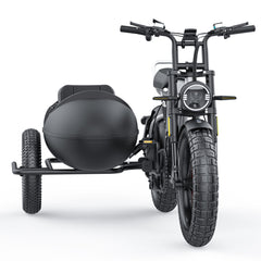 COSWHEEL Sidecar for CT20/CT20S EBike