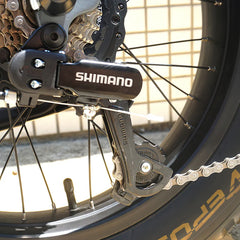 COSWHEEL T20 EBike