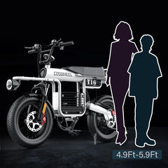 COSWHEEL T16 EBike