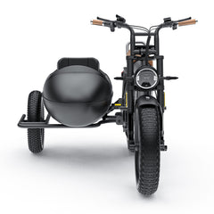 COSWHEEL Sidecar for CT20/CT20S EBike