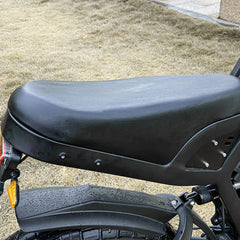 COSWHEEL GT20 EBike
