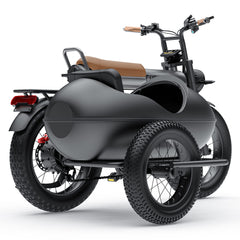 COSWHEEL Sidecar for CT20/CT20S EBike