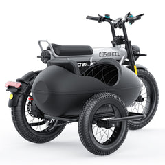 COSWHEEL Sidecar for CT20/CT20S EBike