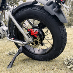 COSWHEEL CT20S EBike