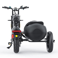 COSWHEEL Sidecar for CT20/CT20S EBike