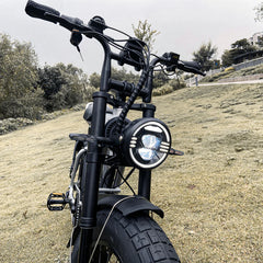 COSWHEEL CT20S EBike