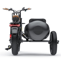 COSWHEEL Sidecar for CT20/CT20S EBike