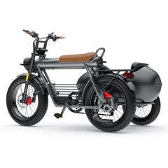 COSWHEEL Sidecar for CT20/CT20S EBike