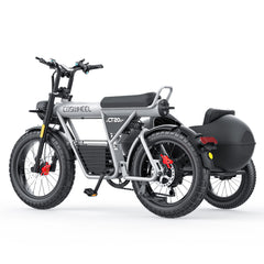 COSWHEEL Sidecar for CT20/CT20S EBike