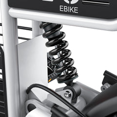 COSWHEEL T16 EBike