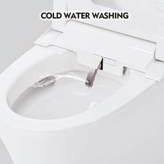 1/1.28 GPF Smart Compact Dual Flush Tankless Toilet Bidet Combo With Self-Cleaning Nozzle And Foot Sensor Flush (SAK58021)