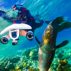 Sublue Underwater Scooter Mix