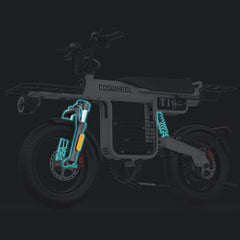 COSWHEEL T16 EBike