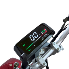 Scoot Motion 3-Wheel Electric Tricycle City Coco CP-7.0 - two-seater model with long range (20Ah/40Ah)