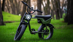 Beecool Bikes Bee Tracer Bee-Tracer