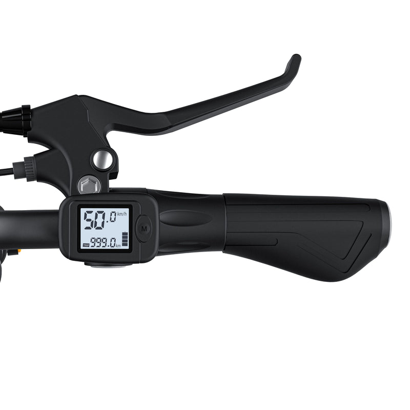 COSWHEEL Y16 EBIKE DISPLAY
