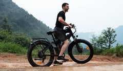 Beecool Bikes Bee Adventurer Bee-Adventurer