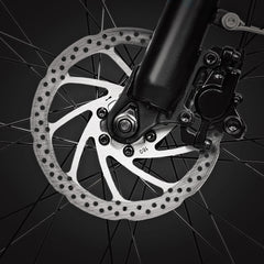 Beecool Bikes Bee Pacer