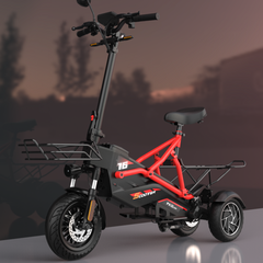 Scoot Motion 3-Wheel electric scooter with saddle 1000W model F2