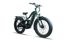 Beecool Bikes Bee Defender