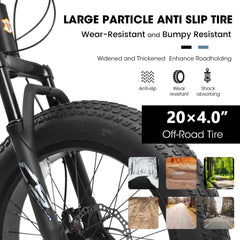 V20235 20 Inch Fat Tire Bike Adult 7 Speed Mountain Bike, Dual Disc Brakes, High Carbon Steel Frame, Front Suspension, Mountain Buggy, City Commuter City Bike, Fat Tire Bike