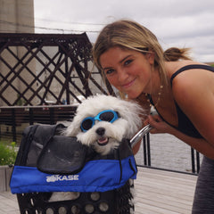 Magnum Bikes Pet Pal Bundle: Ultimate E-Bike Pet Transportation Kit pet_bundle