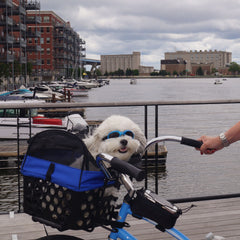 Magnum Bikes Pet Pal Bundle: Ultimate E-Bike Pet Transportation Kit pet_bundle