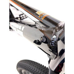Orion 2025 Orion e16x – 16″ Wheels 350W 36V – Deluxe Electric Balance Bike e16xG3