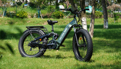 Beecool Bikes Bee Defender Step-Thru